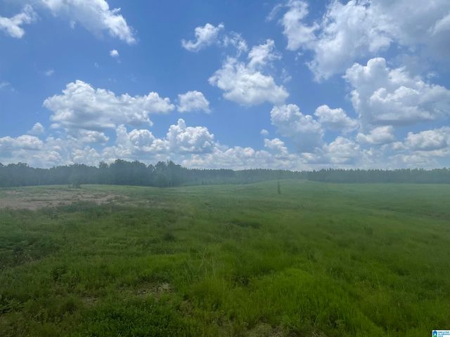 3679 CHELSEA ROAD, Columbiana, AL 35051