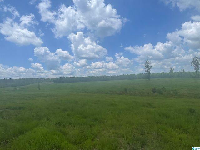 3679 CHELSEA ROAD, Columbiana, AL 35051