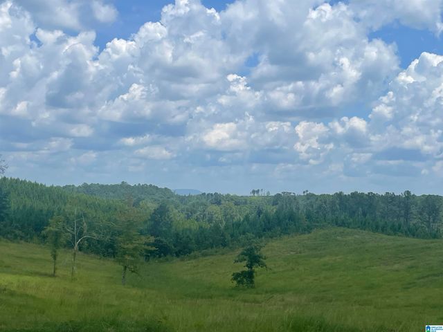 3679 CHELSEA ROAD, Columbiana, AL 35051