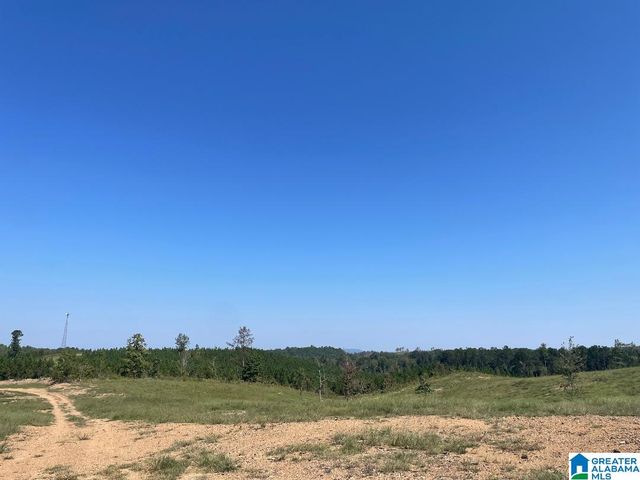 3679 CHELSEA ROAD, Columbiana, AL 35051