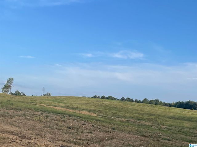 3679 CHELSEA ROAD, Columbiana, AL 35051