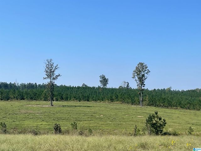 3679 CHELSEA ROAD, Columbiana, AL 35051