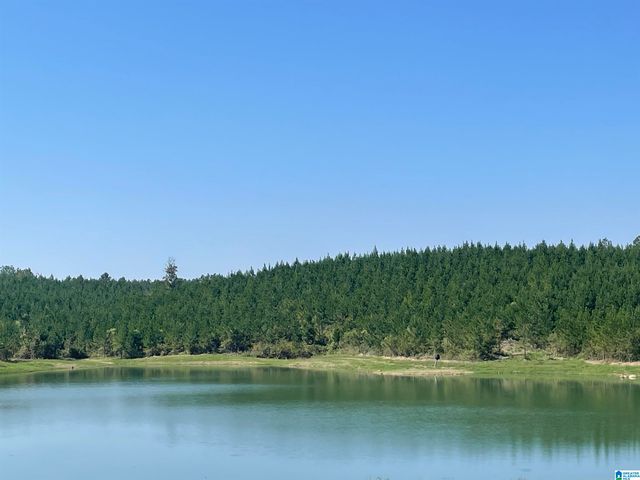 3679 CHELSEA ROAD, Columbiana, AL 35051