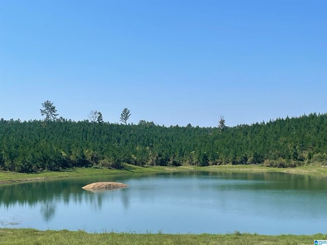 3679 CHELSEA ROAD, Columbiana, AL 35051