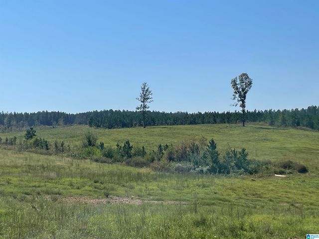 3679 CHELSEA ROAD, Columbiana, AL 35051