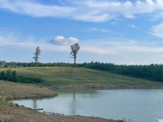 3679 CHELSEA ROAD, Columbiana, AL 35051