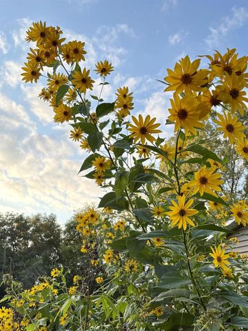 3405 CTH C, Pulaski, WI 54162