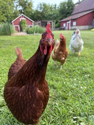 3405 CTH C, Pulaski, WI 54162