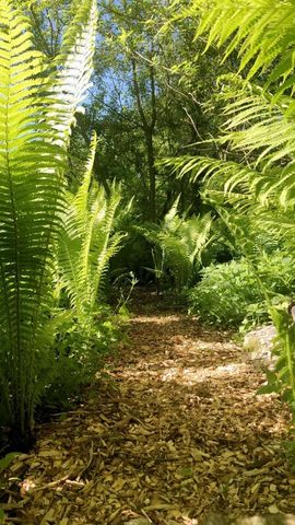 3405 CTH C, Pulaski, WI 54162