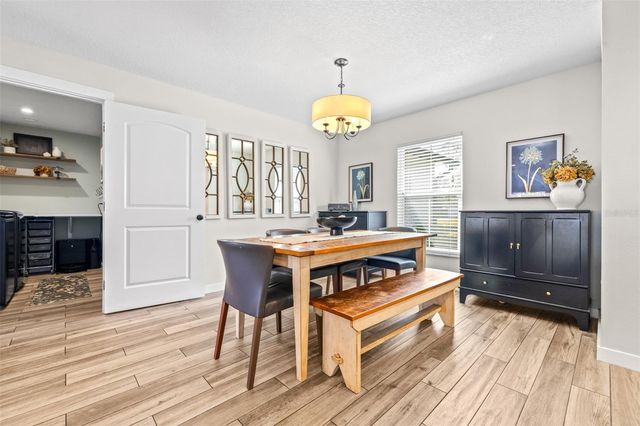 6126 NATIVE WOODS DRIVE, Tampa, FL 33625