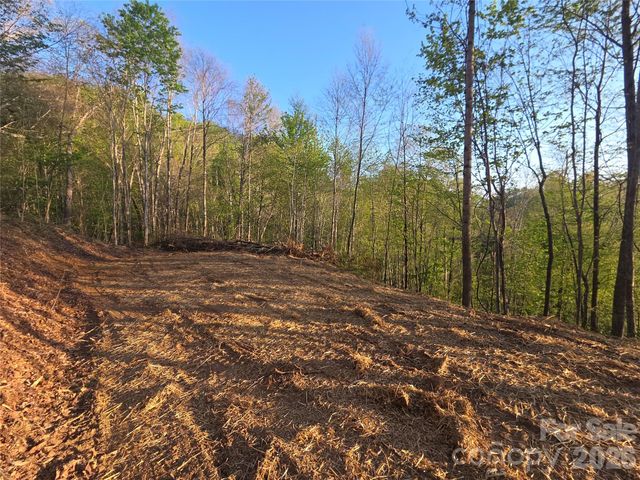 3355 Utah Mountain Road 3-F, Waynesville, NC 28785