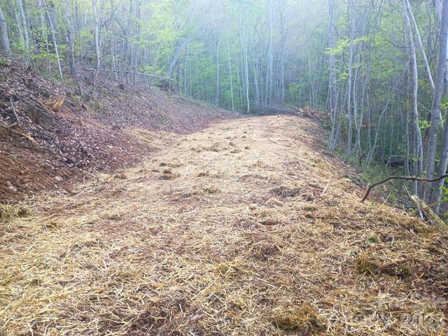 3355 Utah Mountain Road 3-F, Waynesville, NC 28785