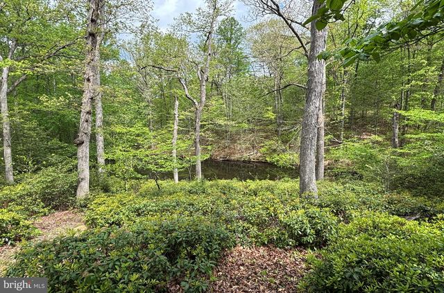 10611 ALLENWOOD LN, Great Falls, VA 22066