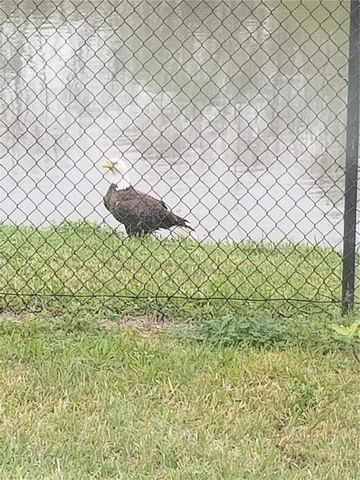 337 BELLA ROSA CIRCLE, Sanford, FL 32771