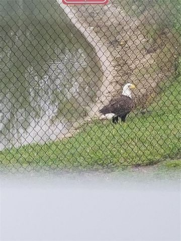 337 BELLA ROSA CIRCLE, Sanford, FL 32771