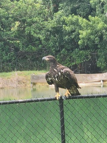 337 BELLA ROSA CIRCLE, Sanford, FL 32771