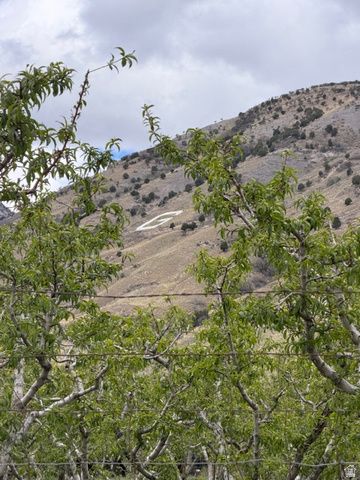 24 S 1400 E, Pleasant Grove, UT 84062