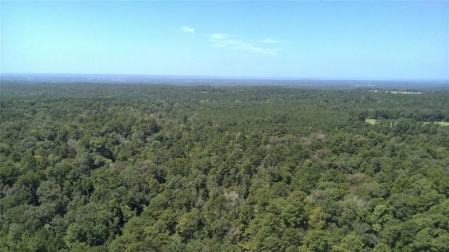 TBD Cove Lake Drive, Livingston, TX 77351