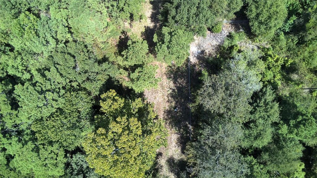 TBD Cove Lake Drive, Livingston, TX 77351