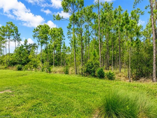 20587 Plumwood LOOP, North Fort Myers, FL 33917