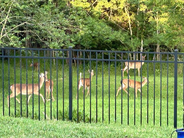 2724 n portofino rd, St Augustine, FL 32092