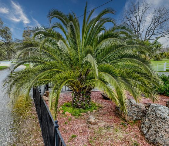 5557 Everglade Trl, Browns Valley, CA 95918