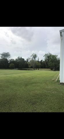 2744 County Road 415c, Brazoria, TX 77422