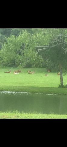 2744 County Road 415c, Brazoria, TX 77422