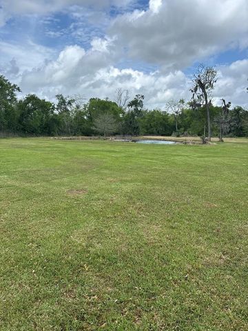 2744 County Road 415c, Brazoria, TX 77422