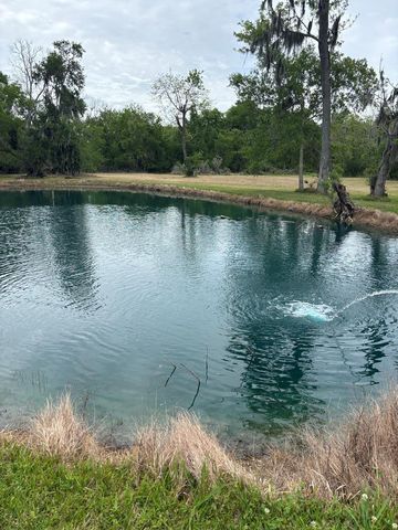2744 County Road 415c, Brazoria, TX 77422