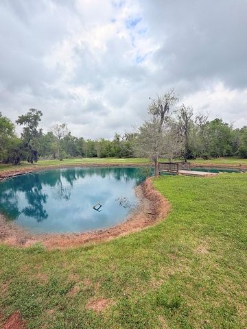 2744 County Road 415c, Brazoria, TX 77422