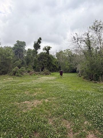 2744 County Road 415c, Brazoria, TX 77422
