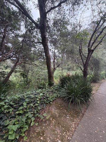 755 14th Avenue 411, Santa Cruz, CA 95062