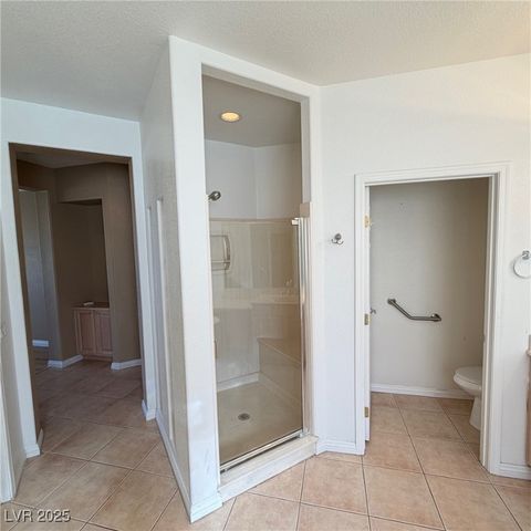 10248 SANTO NINA Court, Las Vegas, NV 89135