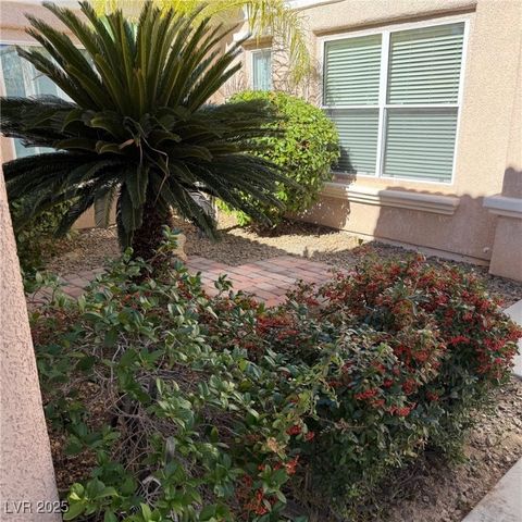 10248 SANTO NINA Court, Las Vegas, NV 89135