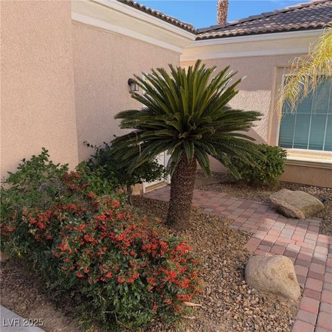 10248 SANTO NINA Court, Las Vegas, NV 89135