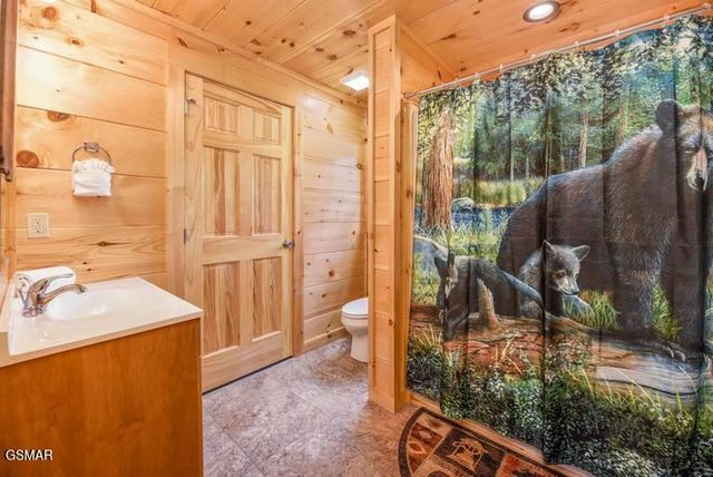 3202 Steeple Way, Pigeon Forge, TN 37863