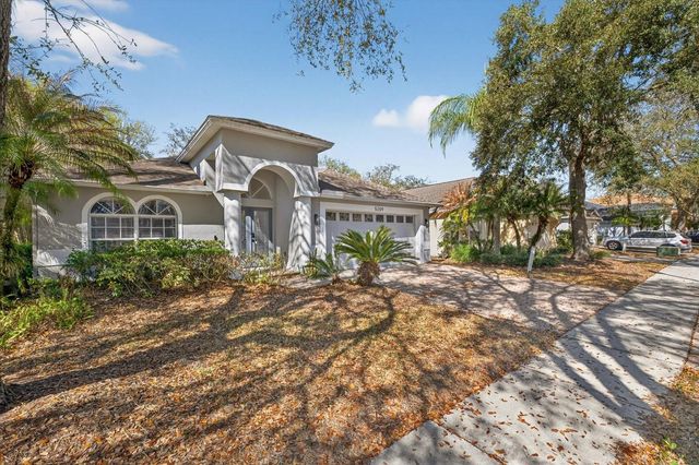 5209 ABBEY PARK AVENUE, Tampa, FL 33647