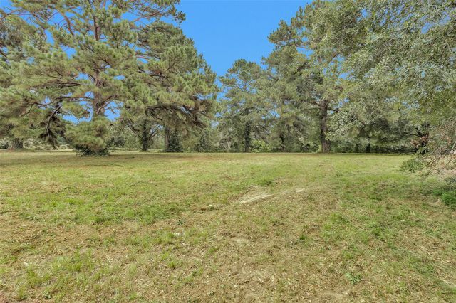 Lot 3 Paradise Point, Willis, TX 77318