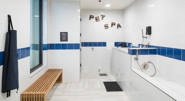 5631 Belmont Avenue 264, Dallas, TX 75206