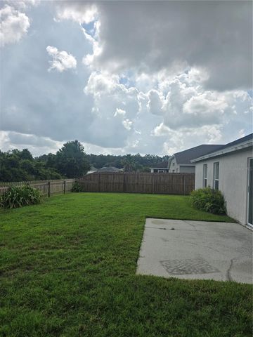 31125 HANNIGAN PLACE, Wesley Chapel, FL 33543