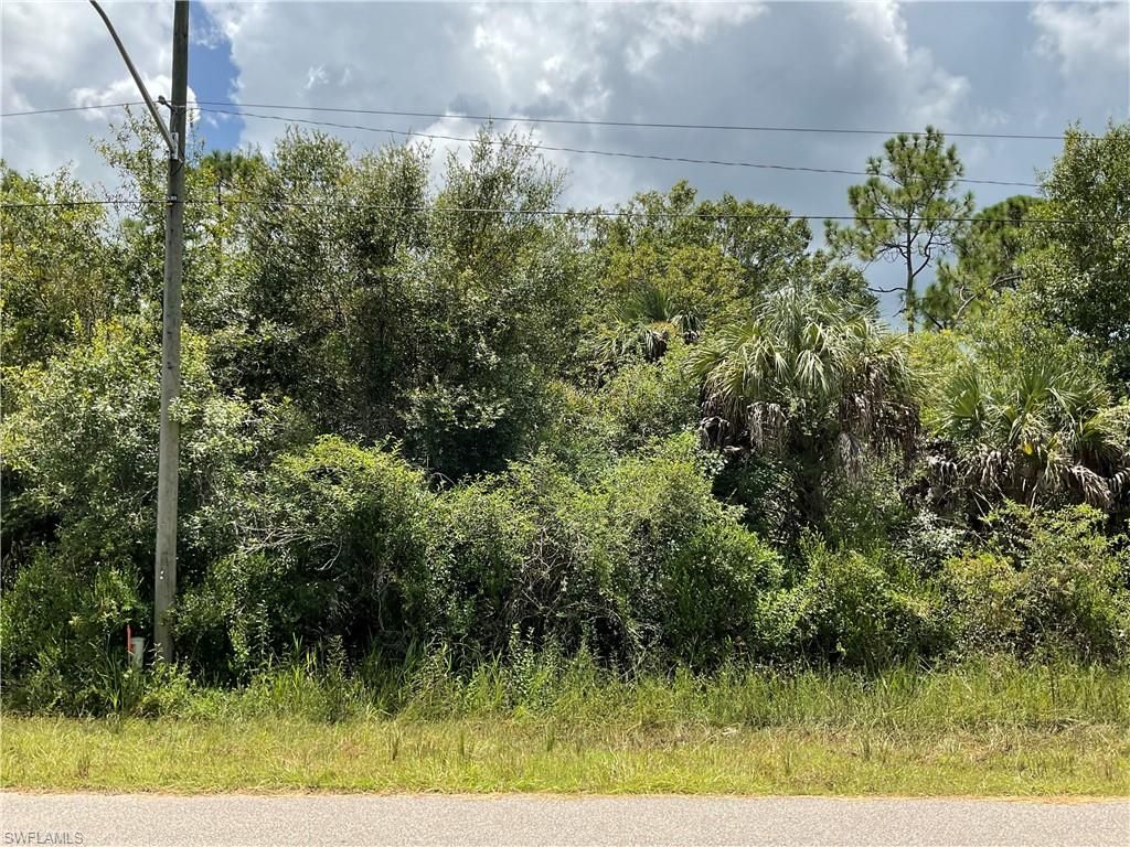 3221 49th ST W, LEHIGH ACRES, FL 33971 — exterior