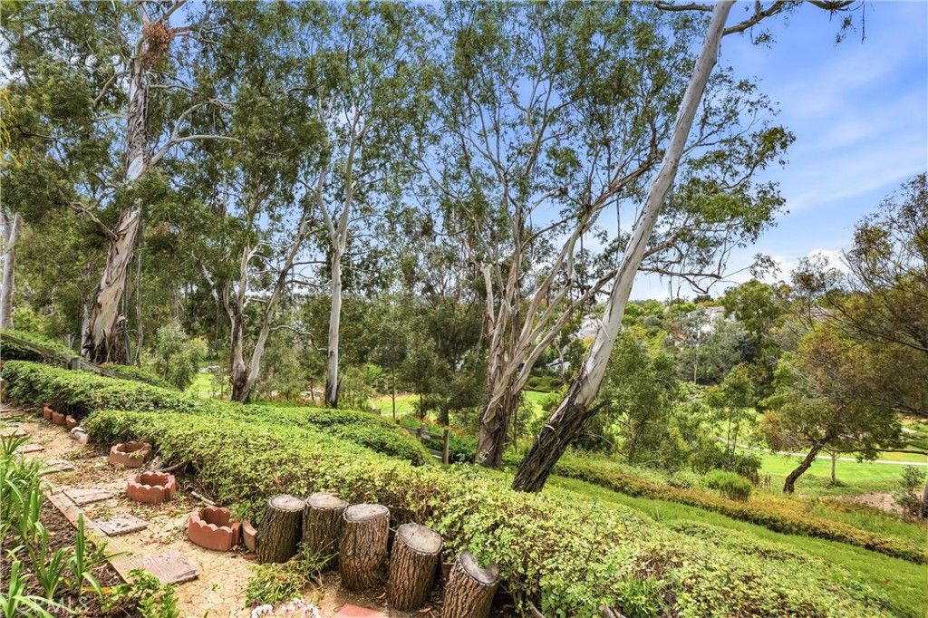 Image 29 of property listing at 25091 Danapepper, Dana Point, CA 92629