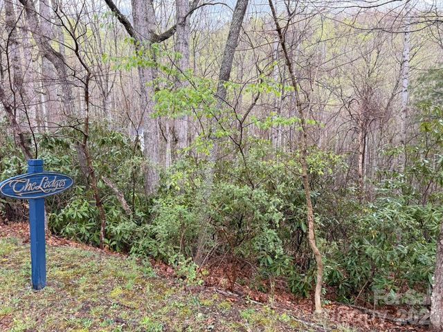 000 Ridgeview Drive, Hendersonville, NC 28791