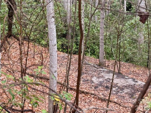 000 Ridgeview Drive, Hendersonville, NC 28791