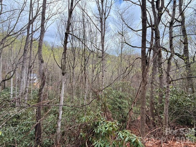 000 Ridgeview Drive, Hendersonville, NC 28791