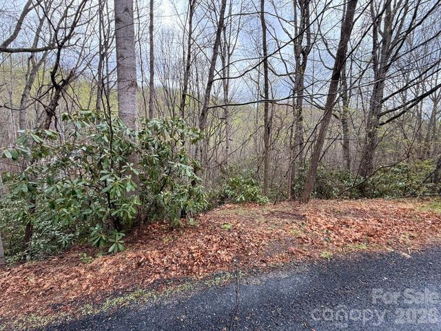 000 Ridgeview Drive, Hendersonville, NC 28791