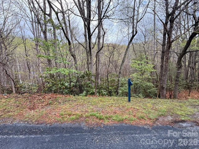 000 Ridgeview Drive, Hendersonville, NC 28791