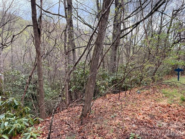 000 Ridgeview Drive, Hendersonville, NC 28791