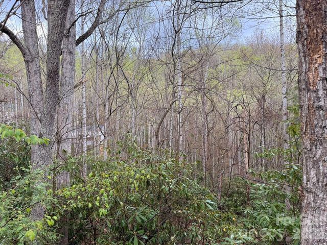 000 Ridgeview Drive, Hendersonville, NC 28791